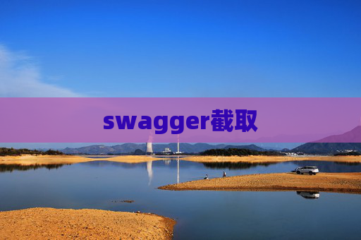 swagger截取